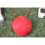 28cm Pluche Rendier Gewei & Neus Set Voor Auto's 2