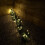 Premier 6 x 30cm LED Lit Premier Christmas Tree Path Lights (15 LEDs Per Tree) 10