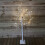 Snow Time 1.5m (5ft) Christmas Outdoor Birch Tree with 64 Warm White LEDs 3