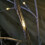 Snow Time 1.5m (5ft) Christmas Outdoor Birch Tree with 64 Warm White LEDs 4