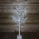 Snow Time 1.5m (5ft) Christmas Outdoor Birch Tree with 64 Ice White LEDs 3