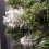 60cm Snow King Fir Green Christmas Wreath with Pine Cones 5