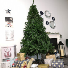 8ft Colorado Spruce Christmas Tree in Green with 1095 tips 148cm Diameter
