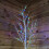 Snow Time 1.5m Christmas Outdoor Birch Tree with 64 Multicoloured LEDs 5