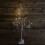 Snow Time 1.2m (4ft) Christmas Outdoor Birch Tree with 48 Warm White LEDs 2