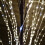 6ft Brown Flocked Willow LED Birch Tree 600 Warm Lights 3