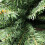 Premier 2m (6.5ft) Premier Pencil Style Slim Christmas Tree in Green 4