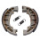 AP Racing Brake Shoe - LMS918 1