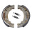 AP Racing Brake Shoe - LMS824 1