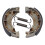 AP Racing Brake Shoe - LMS840 1