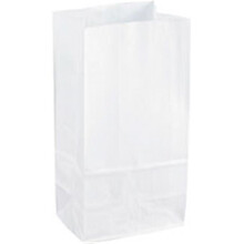 Kraft Paper Bags - White