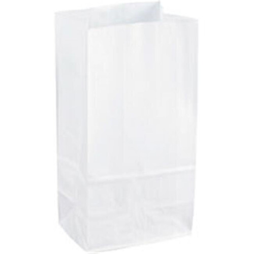 Kraft Paper Bags - White