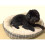 Small Dog bed with Orthopaedic Fleece Lining in Jute Plaid Actiaspet 8