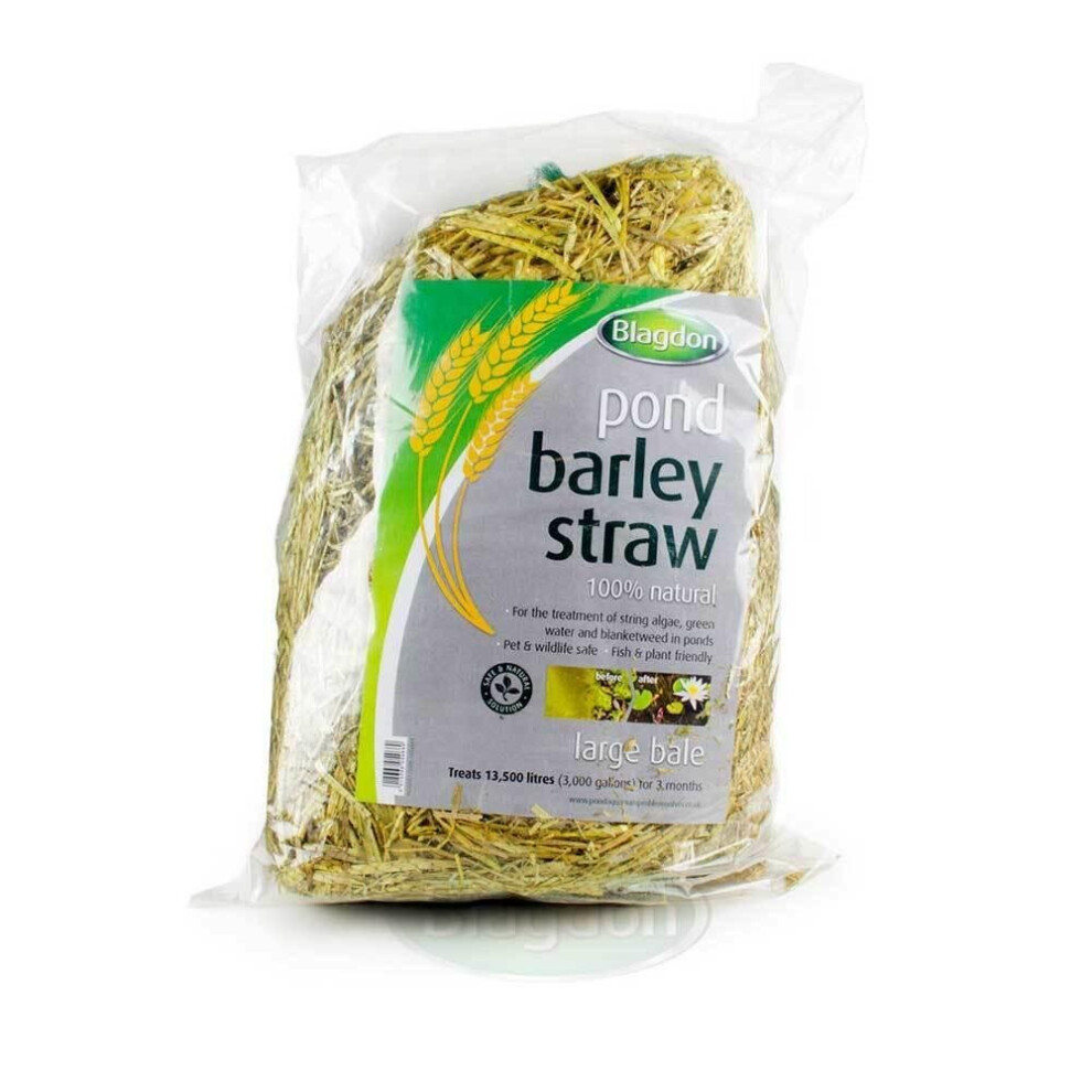 Blagdon Barley Straw Large Bale - 1054669 Pond Water Treatment