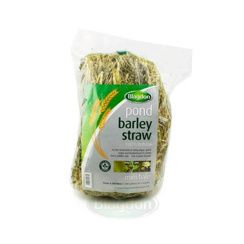 Blagdon Barley Straw Mini Bale - 1054645 Pond Water Treatment