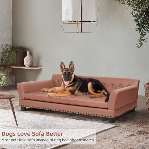 Bingopaw (XL) Pet Sofa Bed: Sofa-type Dog Bed Cat Kitty Couch Chair 1
