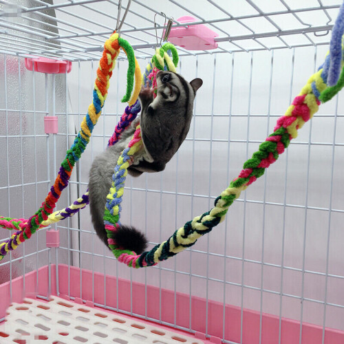 Pet Bird Hamster κρεμασμένο αιωρούμενο Swing Climb Rope Μικρό κλουβί ποντικού ποντικιού ζώων 1