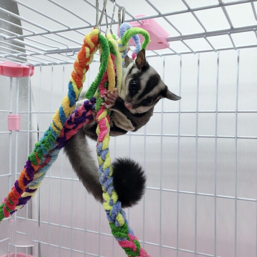 Pet Bird Hamster κρεμασμένο αιωρούμενο Swing Climb Rope Μικρό κλουβί ποντικού ποντικιού ζώων 2