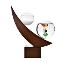 Galileo Thermometer & Storm Glass Weather Station Desk Home Decor Unique Gift