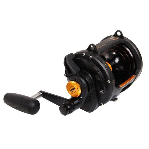 Penn Penn Squall 50 VSW 2 Speed