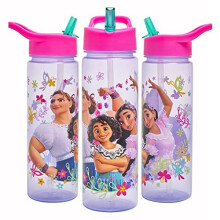 Encanto 600ml Water Bottle with Flip-Up Straw - Official Disney Polar Gear, BPA Free, Leakproof, Recyclable PP for Kids