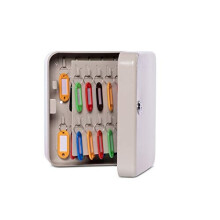 MAUL Wall Mounted Key Cabinet, 40 Keys, 20x16,5x8cm, Grey