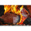 Firemasters Kameeldoring Braai Wood (14kg) 3