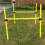 Dog Trainer Kit, Yellow - One Size 1