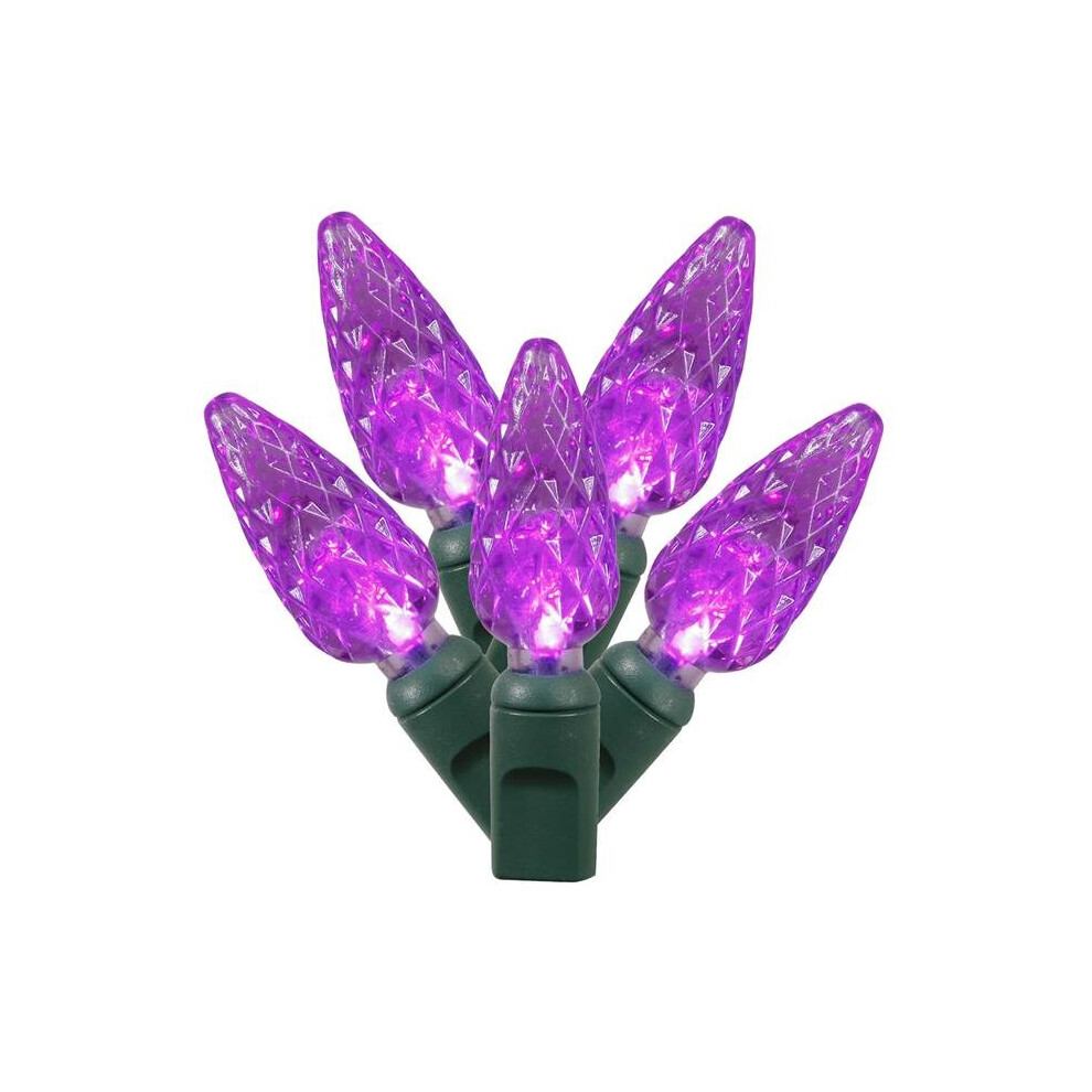 100 Light Purple C6 LED Light on Green Wire with 4 in. Spacing & 34 ft. Christmas Light Strand End Connecting Set-image-OPC-PB7QZKW-NEW