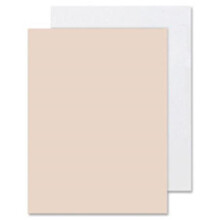 Tagboard, Heavyweight, 24 in. x 36 in., 100 SH-PK, White