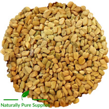 Fenugreek Seeds Horse Herb, Equine Natural Feed Supplement- 3kg