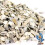 BusyBeaks Hen Sized Oyster Shell (20kg) 2