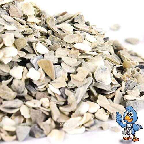 BusyBeaks Hen Sized Oyster Shell (20kg) 1