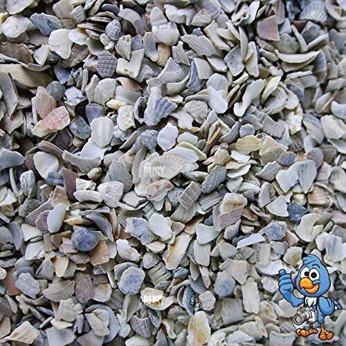 BusyBeaks Hen Sized Oyster Shell (20kg) 2