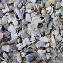 BusyBeaks Hen Sized Oyster Shell (20kg)