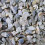 BusyBeaks Hen Sized Oyster Shell (20kg) 1