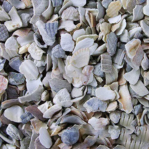 BusyBeaks Hen Sized Oyster Shell (20kg)