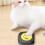 Boutons de commande interactifs enregistrables pour animaux de compagnie 10