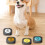 Boutons de commande interactifs enregistrables pour animaux de compagnie 9