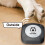 Boutons de commande interactifs enregistrables pour animaux de compagnie 13