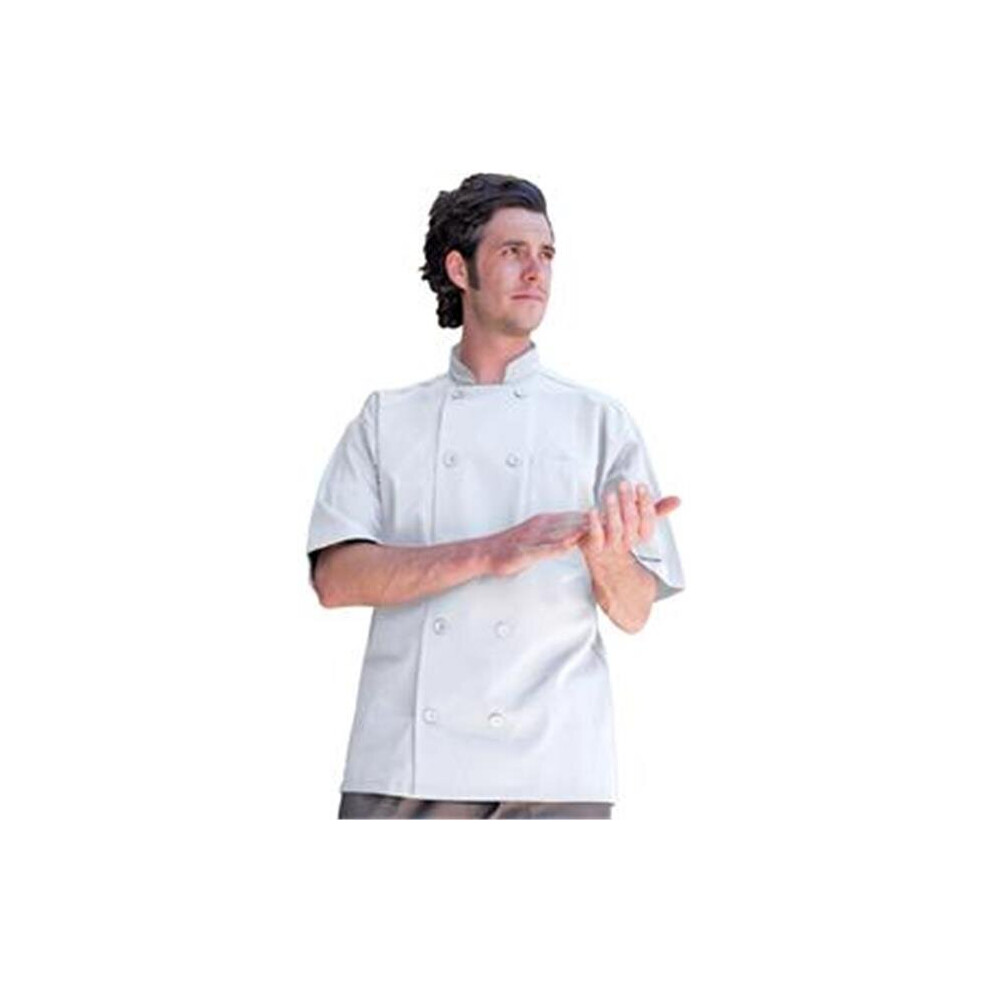 Tingo Cloth Covered 10 Button, Black - 2XL-image-OPC-PB7T7XS-NEW