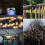 50 LED Solar Star String Lights, Garden Patio Yard Lamp Waterproof 9