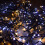 Premier Premier Christmas 720 Multi Action LED Clusters Lights With Timer 5