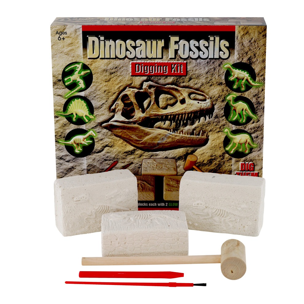 The Magic Toy Shop Dinosaur Fossils Digging Excavation Kit Dig Your Own Skeleton Glow In The Dark
