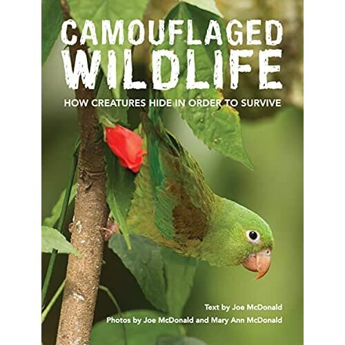 Camouflaged Wildlife - McDonald, Joe - HardBack -01/05/2017