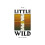 Little Wild - LeBlanc, Curtis - Paperback -01/04/2018 1