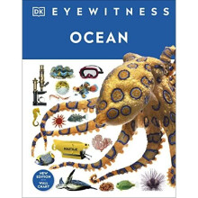 Ocean (DK Eyewitness) - DK - Hardback -30/11/2021