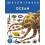 Ocean (DK Eyewitness) - DK - Hardback -30/11/2021 1