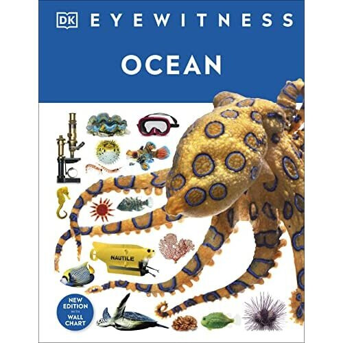 Ocean (DK Eyewitness) - DK - Hardback -30/11/2021