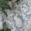 Fine Decor nu wallpaper TERRENE BLUE peel & stick wallpaper 2